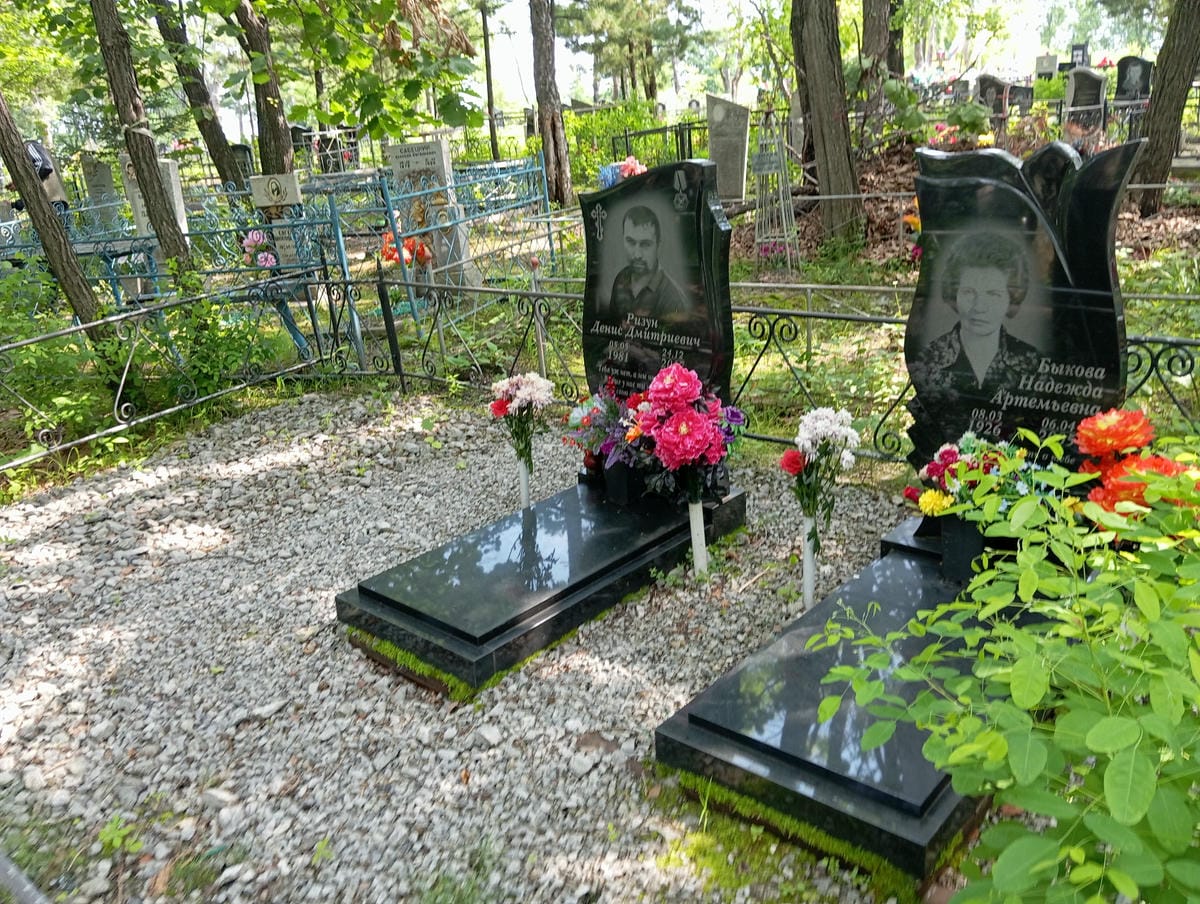 447d44c6-0668-47c3-8a7b-c3ad049772fa Ризун Денис Дмитриевич