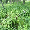 44cb49d4-5e95-42e1-91be-2bb05ed852e6 Неизвестно Неизвестно Неизвестно
