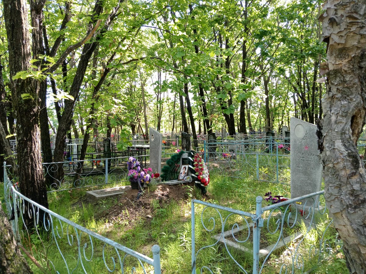 45346080-8573-4270-a074-1619517a6012 Газизуллин Шайдулла Загибуллович