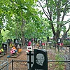Кошевая Ольга Алексеевна