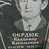 Сердюк Владимир Васильевич