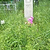 Карабут Анна Федоровна