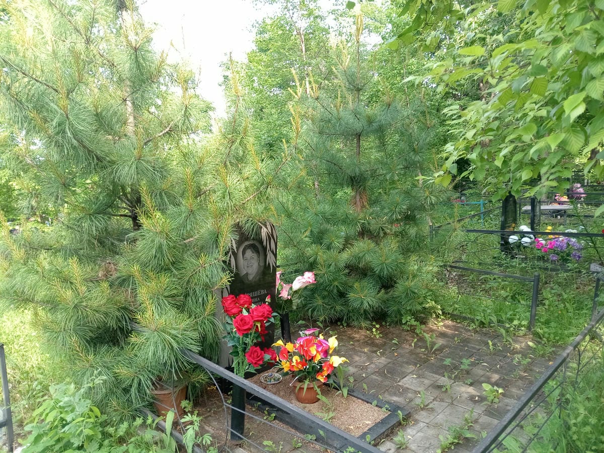 460f3052-eb03-46f7-91e1-f87cb6e8376b Кудряшева Галина Федоровна
