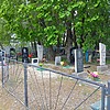 Лесных Мария Фёдоровна