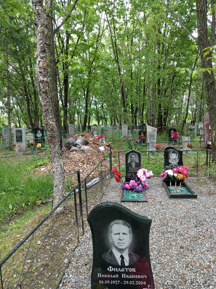 464e4317-2e4e-4aaa-aec9-f4f3b089014b Филатов Николай Иванович