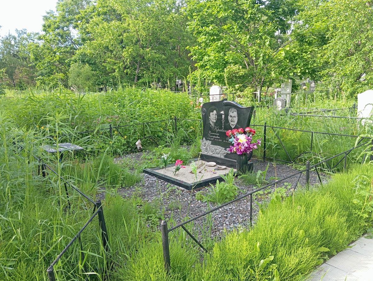 Кривошеев Михаил Прокофьевич