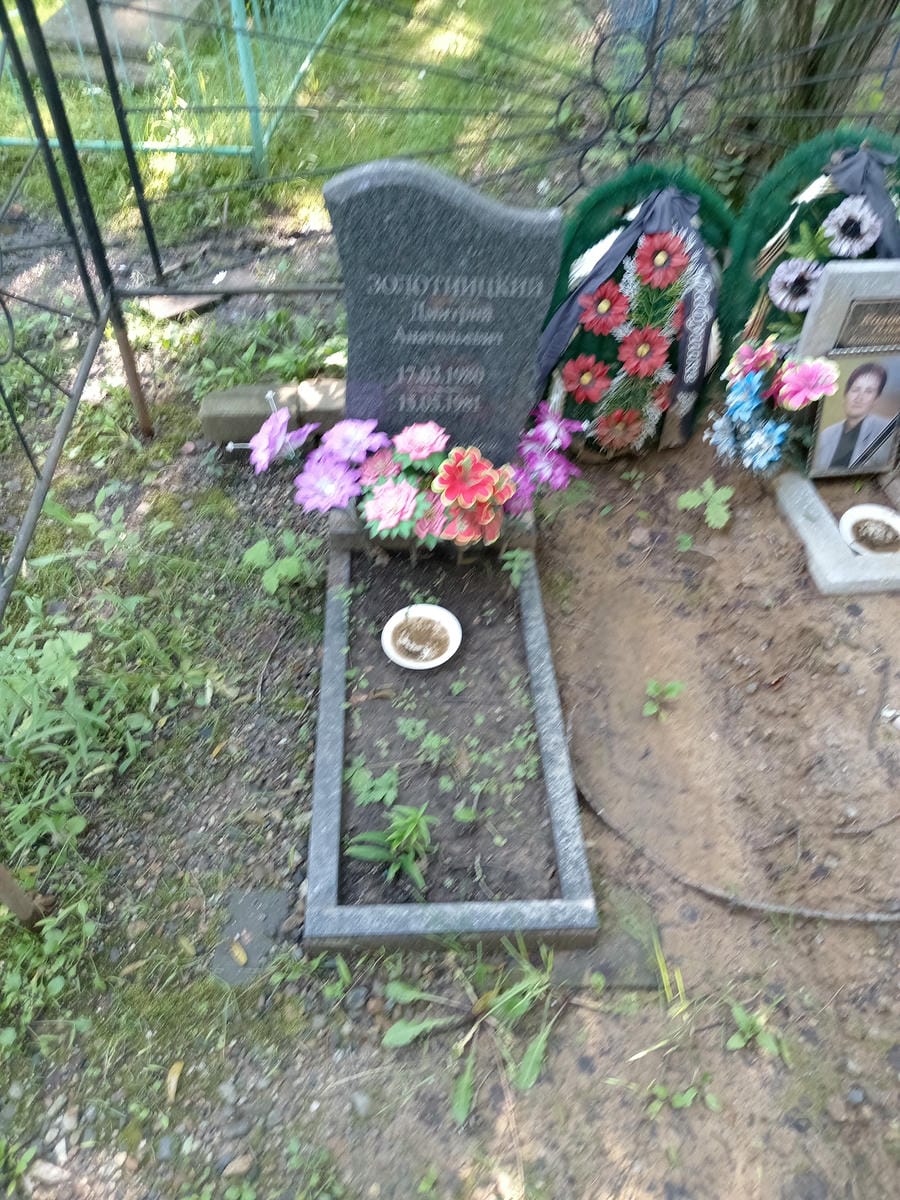 46e72703-5ae1-494c-9173-7f52047f6ca5 Золотницкий Дмитрий Анатольевич