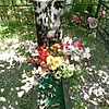 Батог Ирина Евгеньевна