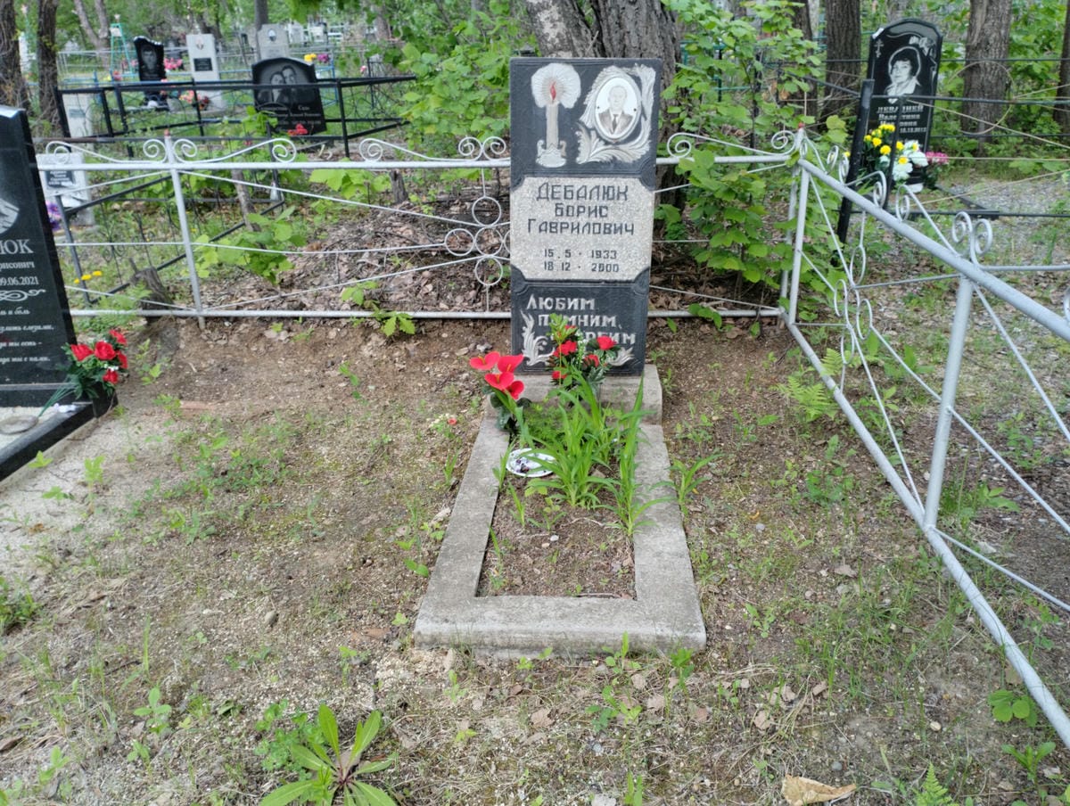 470482aa-0db5-46ec-958a-94867a562053 Дебалюк Борис Гаврилович