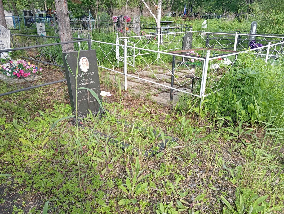 Щербатая Надежда Васильевна