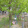 Порошонок Нина Викторовна