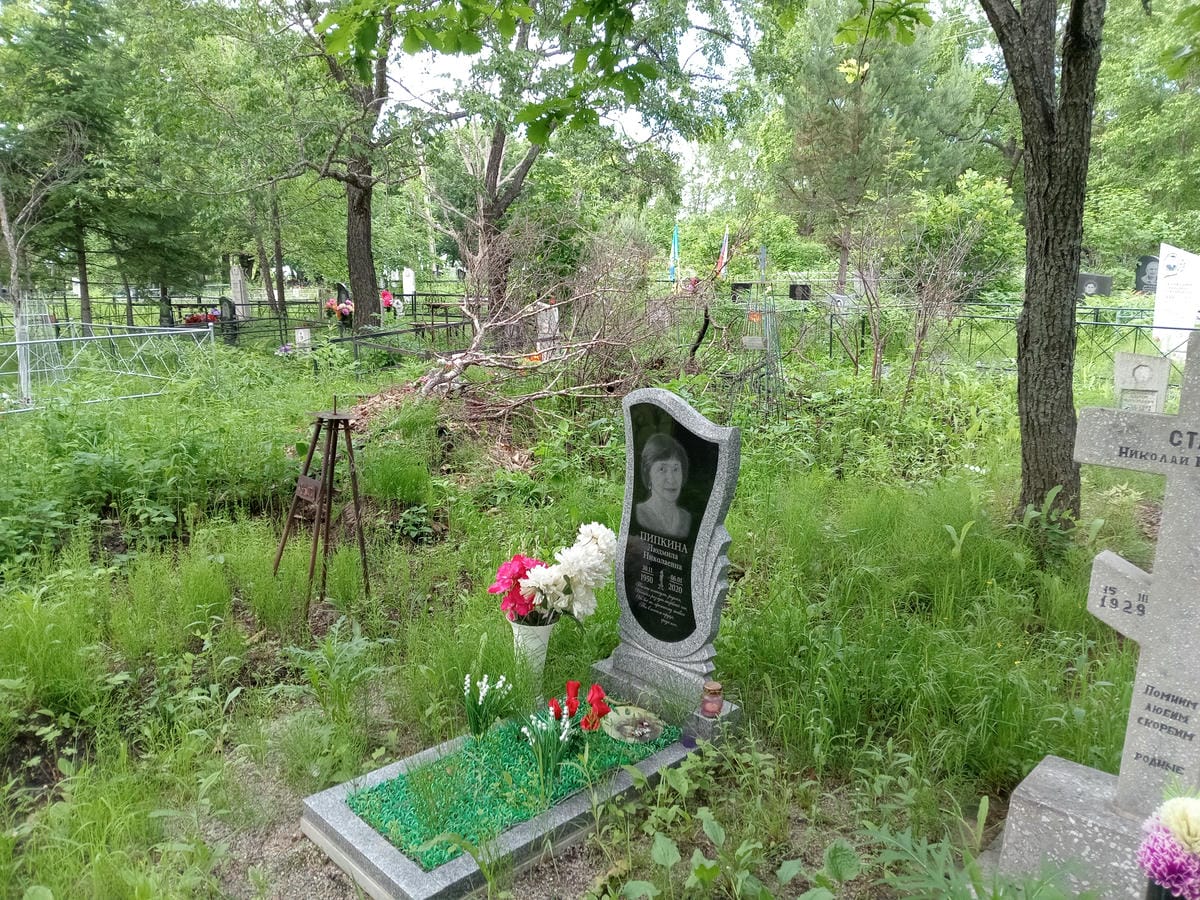 Пипкина Людмила Николаевна