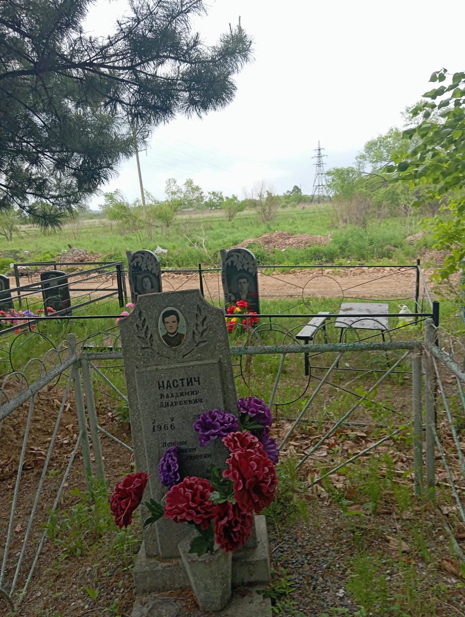 Настич Владимир Андреевич