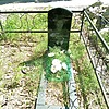 Вишвякова Анна Дмитриевна