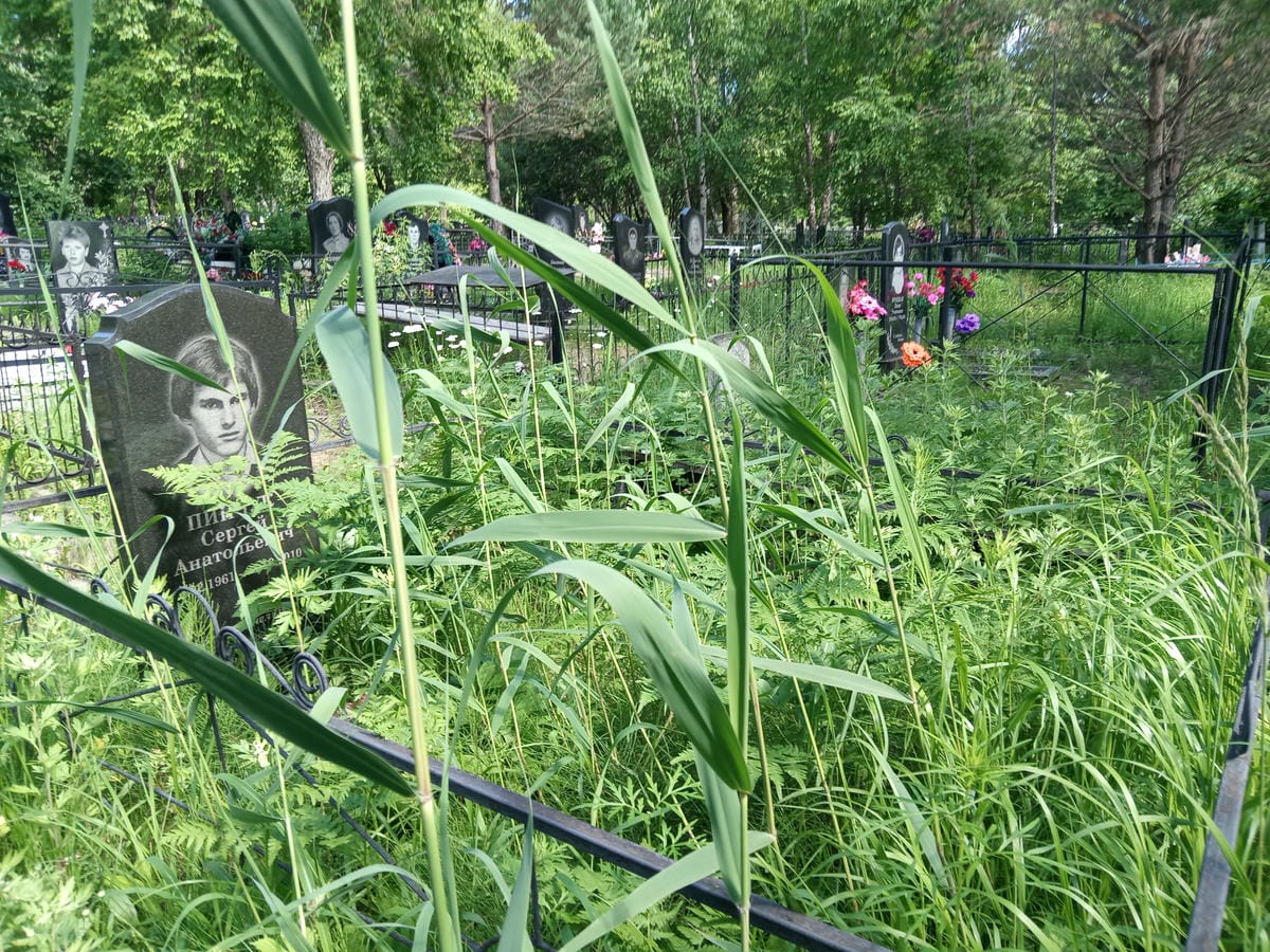 Пинчук Сергей Анатольевич