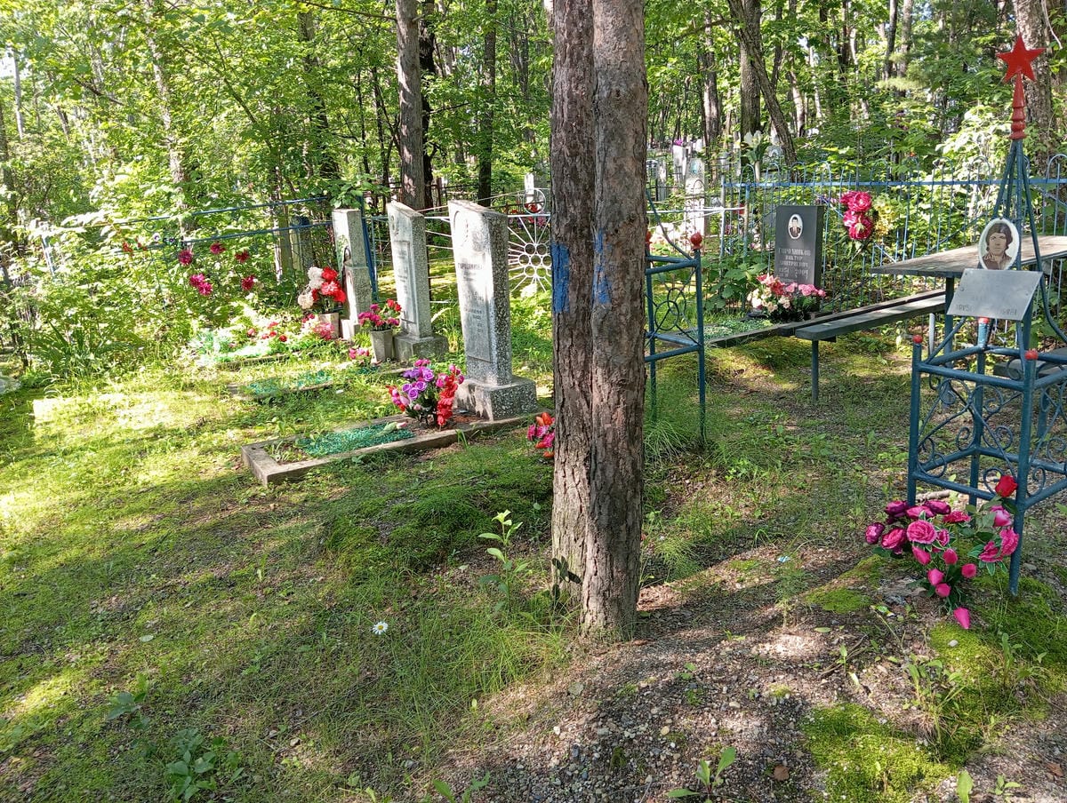 Городникова Анастасия Максимовна