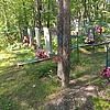 Городников Валентин Геннадьевич