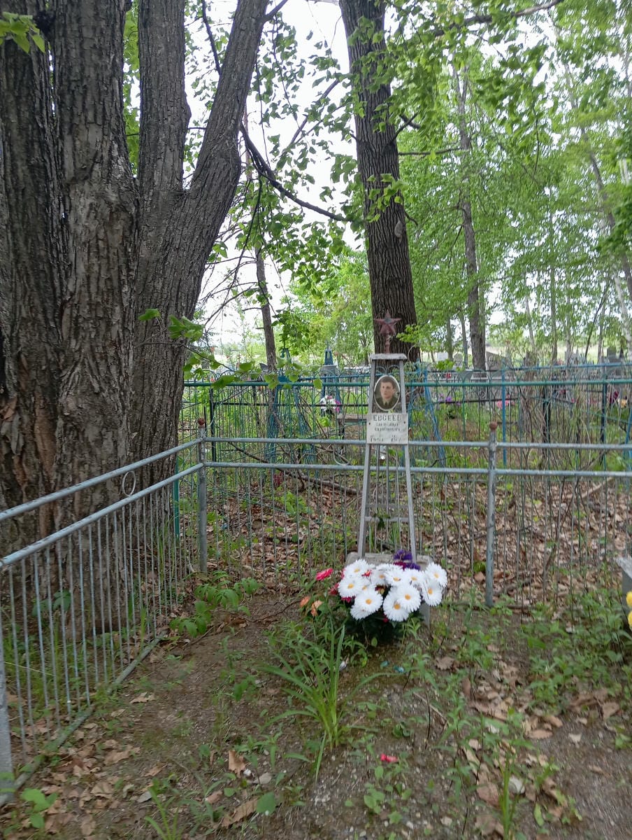 Евсеев Александр Семёнович