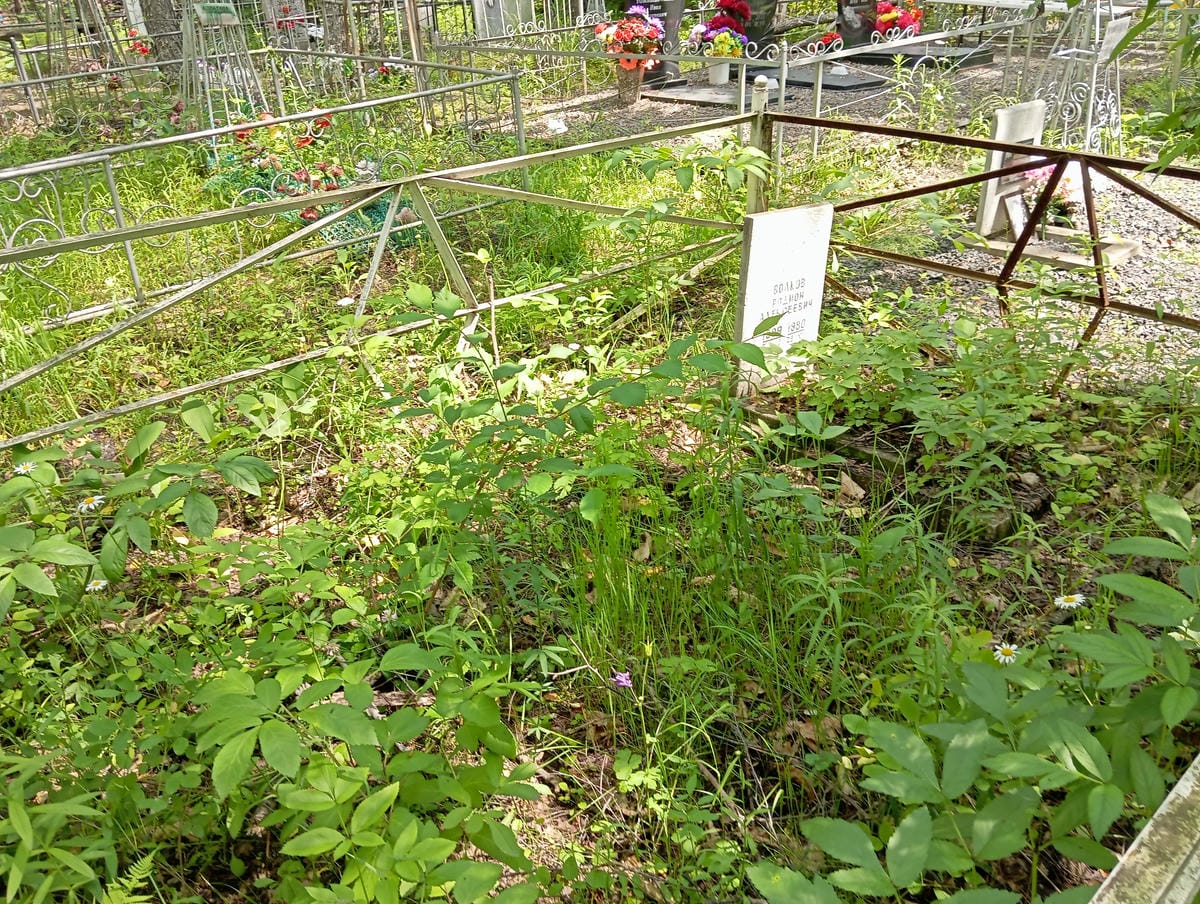 Волков Родион Алексеевич