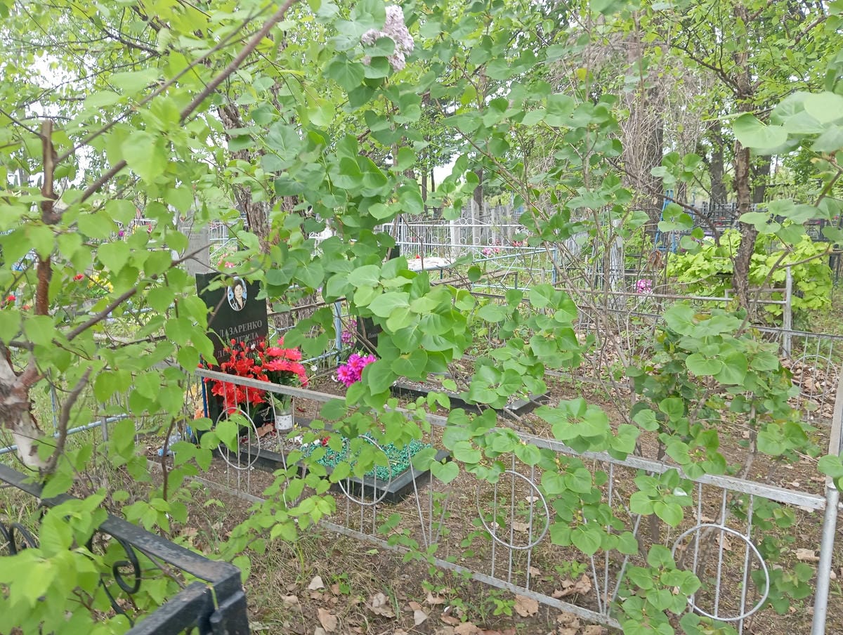 Лазаренко Надежда Демьяновна