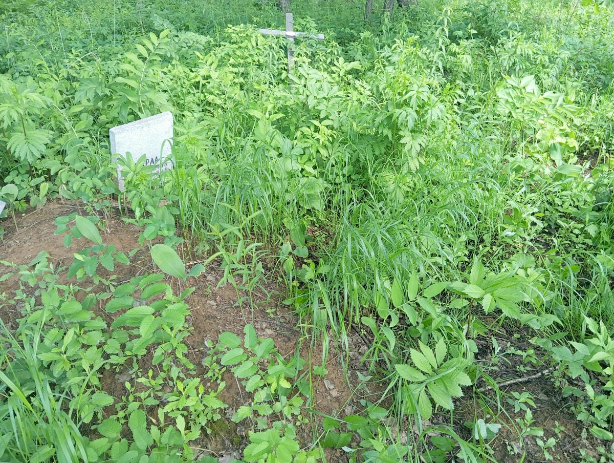 4abaca05-f3c3-405e-a843-768b0146d926 Гырла Константин Михайлович
