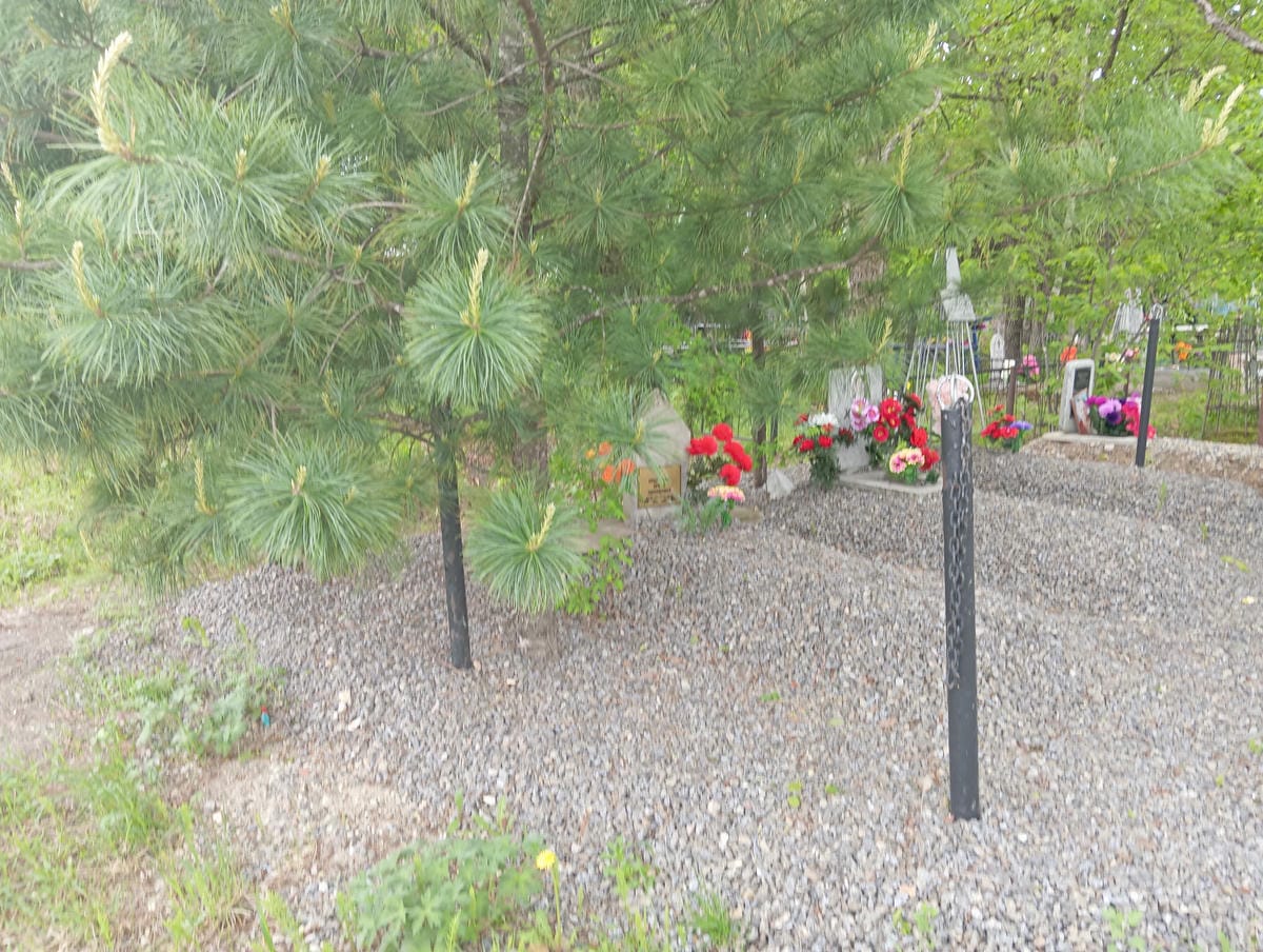 Андросова Ирина Эдуардовна