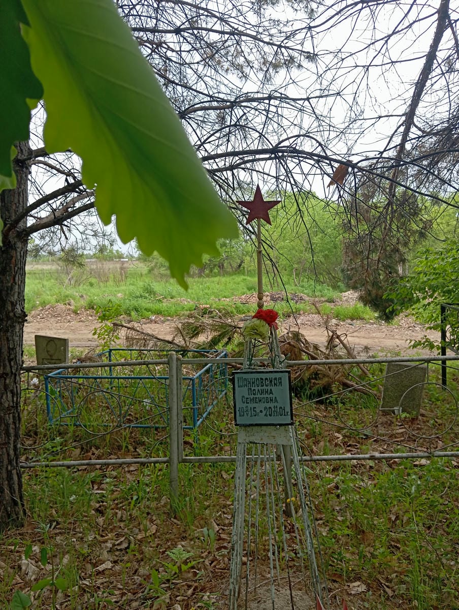 Шахновская Полина Семеновна