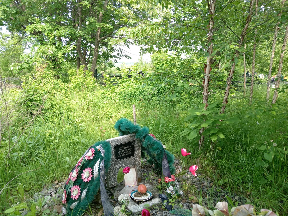 Шеянов Александр Сергеевич