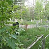Панасюк Варвара Назаровна