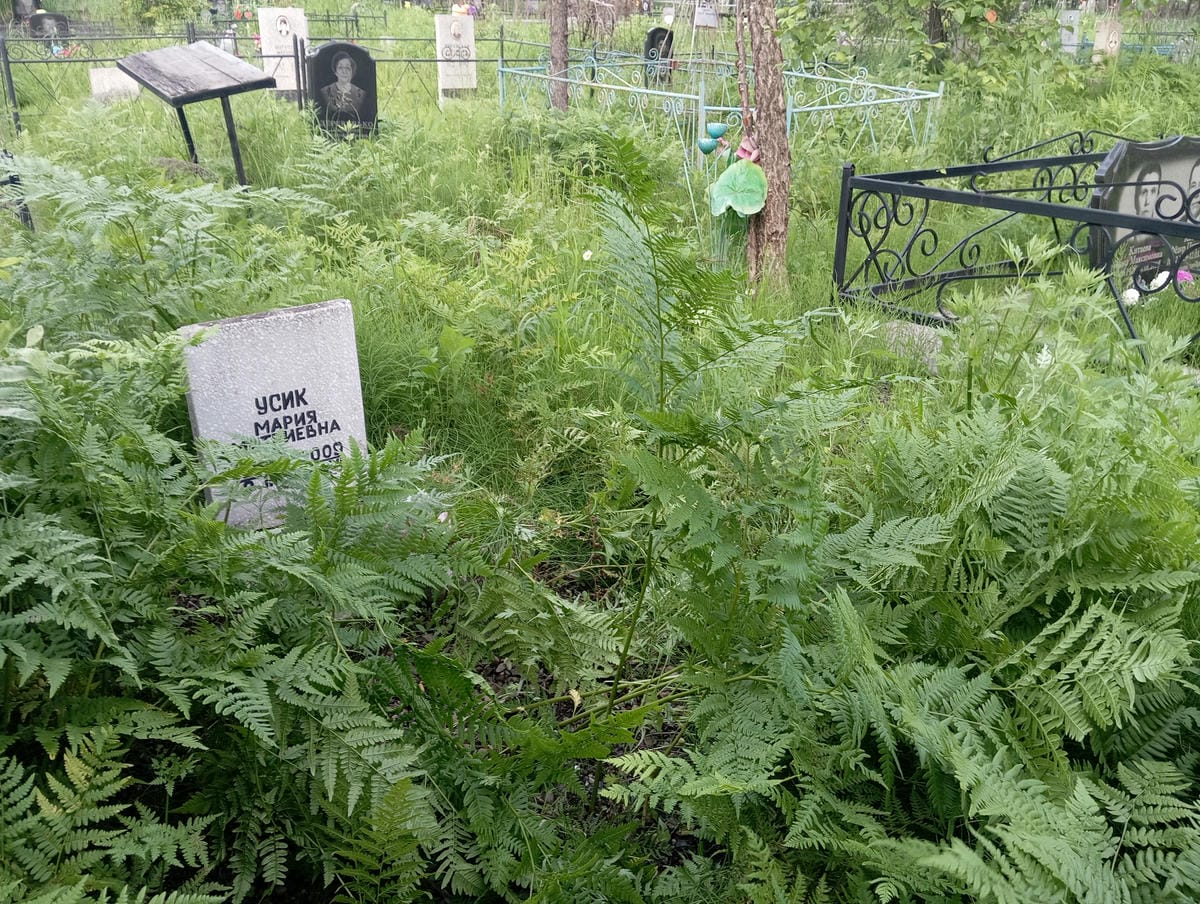 Усик Мария Дмитриевна