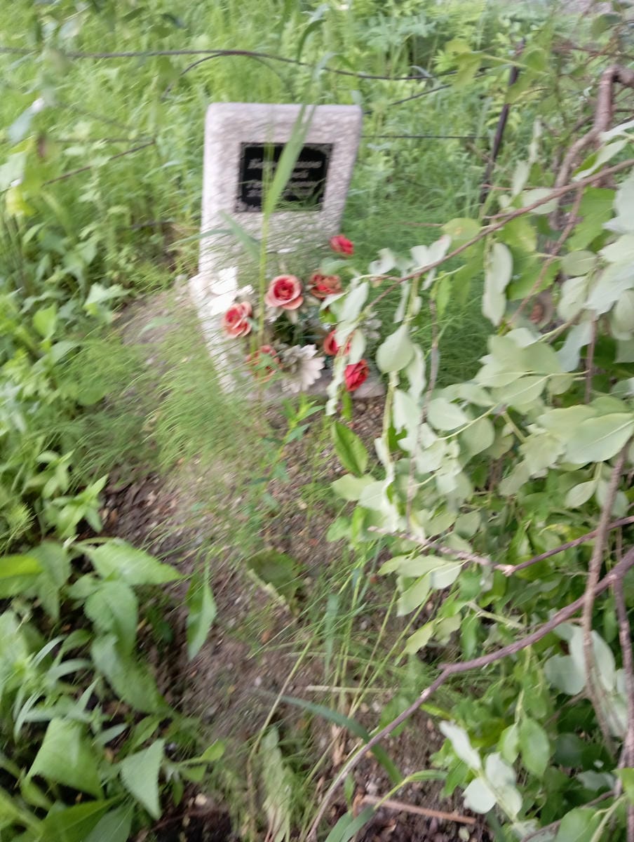 Боровиков Андрей Геннадьевич