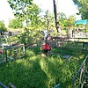Ильичева Анна Владимировна