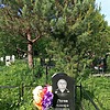 Рогов Александр Николаевич