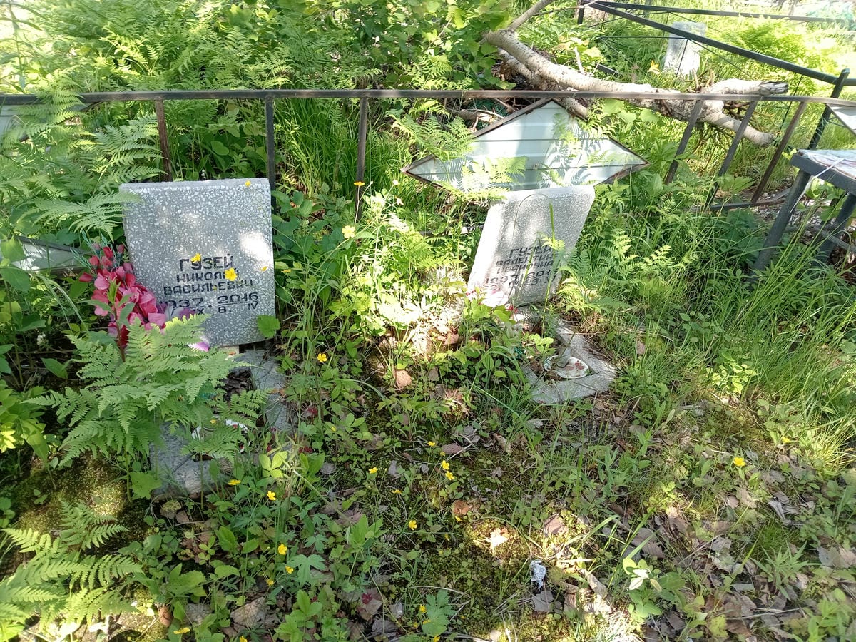 4e153102-b0ef-4081-8856-b43f97b69194 Гузей Николай Васильевич