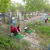 Павлова Любовь Николаевна