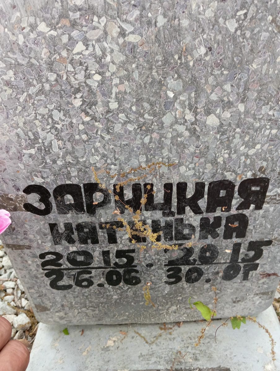 Зарицкая Катенька Неизвестно