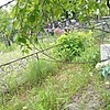 Ожогов Неизвестно Неизвестно