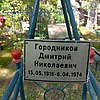 Городников Дмитрий Николаевич