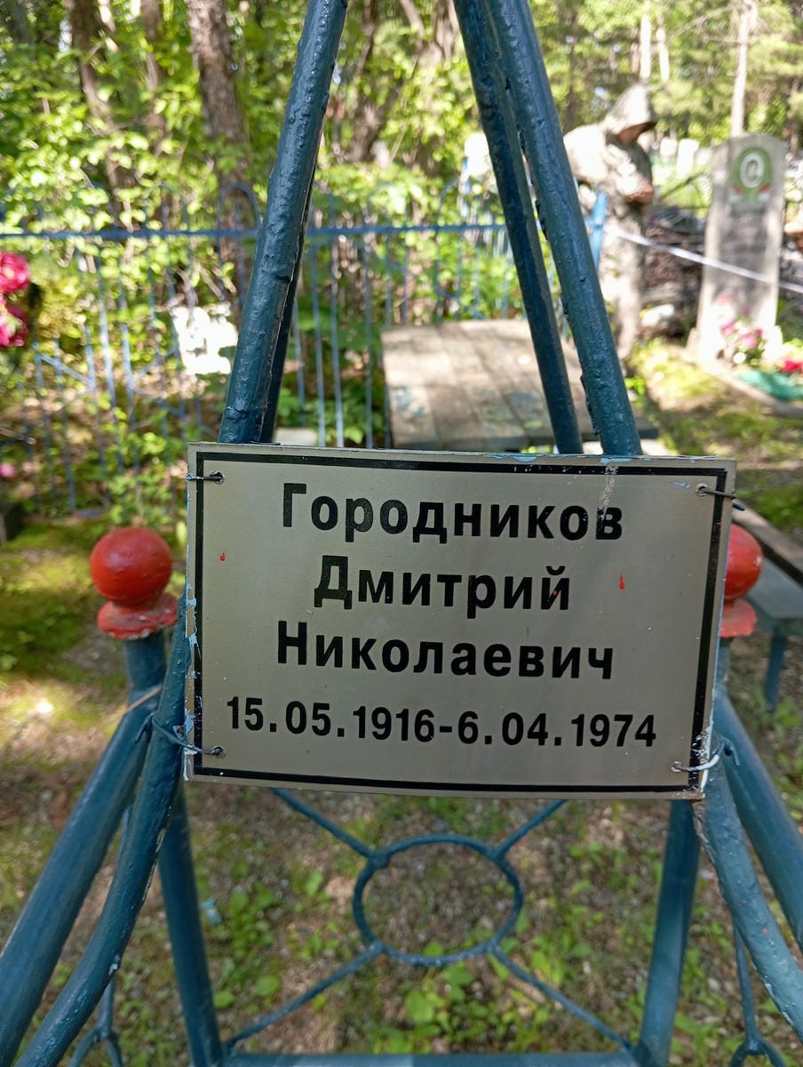 Городников Дмитрий Николаевич