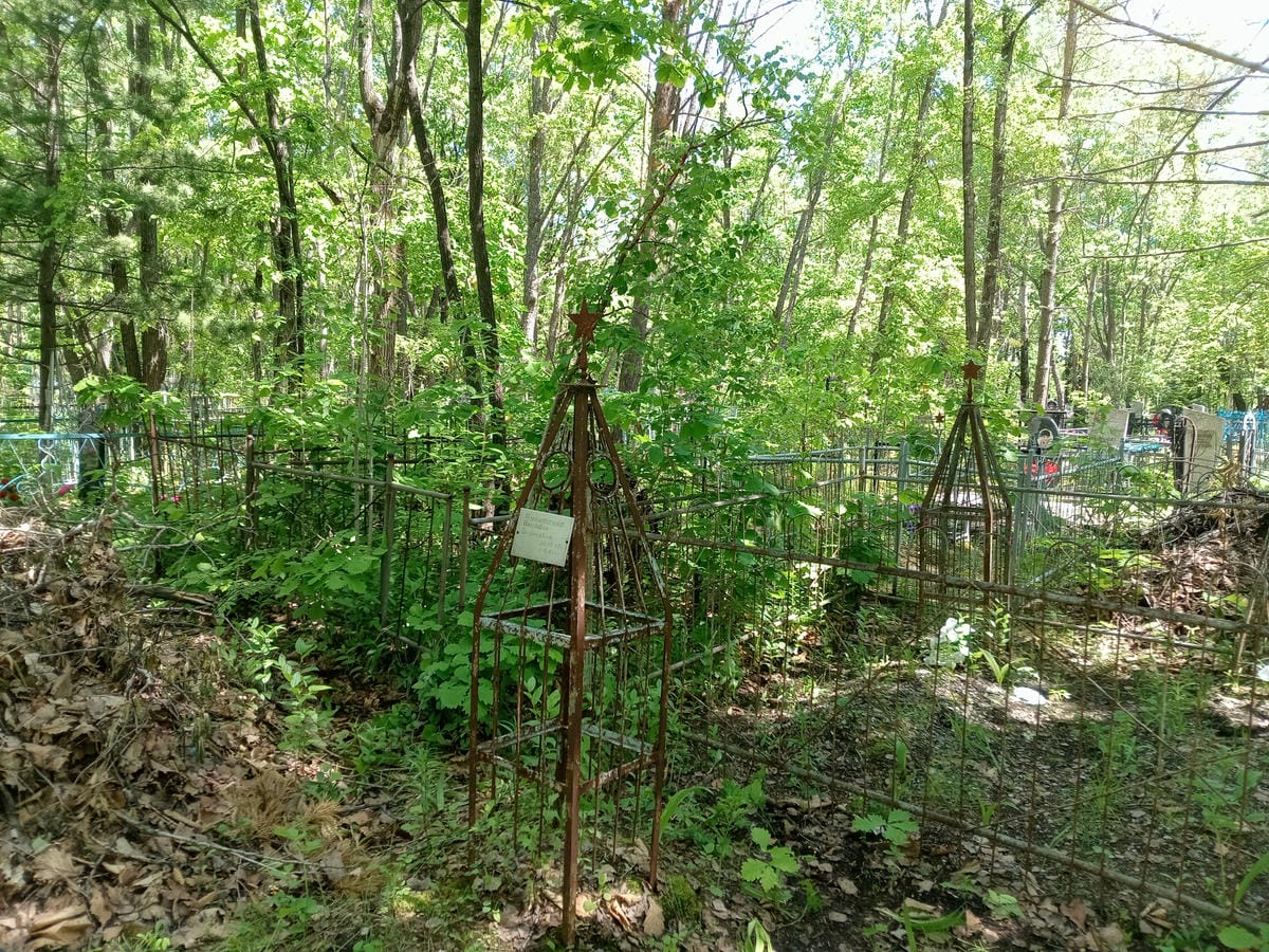 5043afe3-b0f1-48ec-a034-d1ad787a1b17 Никитенко Прасковья Васильевна