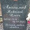 Анисимов Николай Ильич