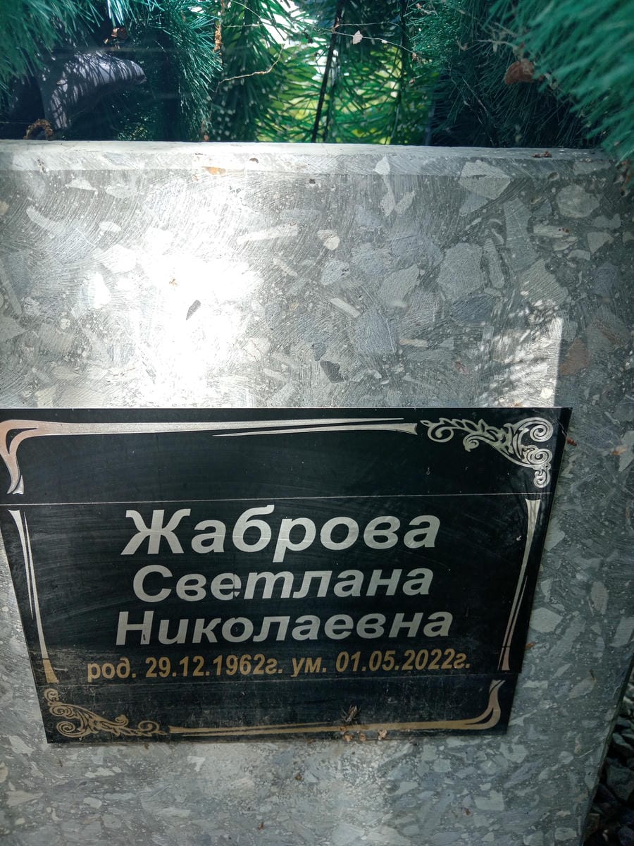 51039de8-2fc3-4f3f-b896-d92c248ef2d3 Жаброва Светлана Николаевна