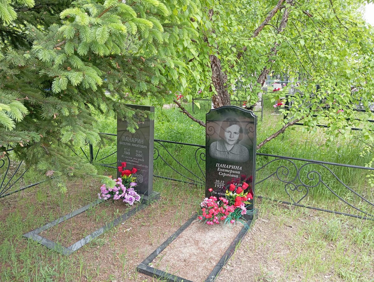 Панарин Валерий Никитович