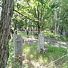 Самофал Мария Даниловна