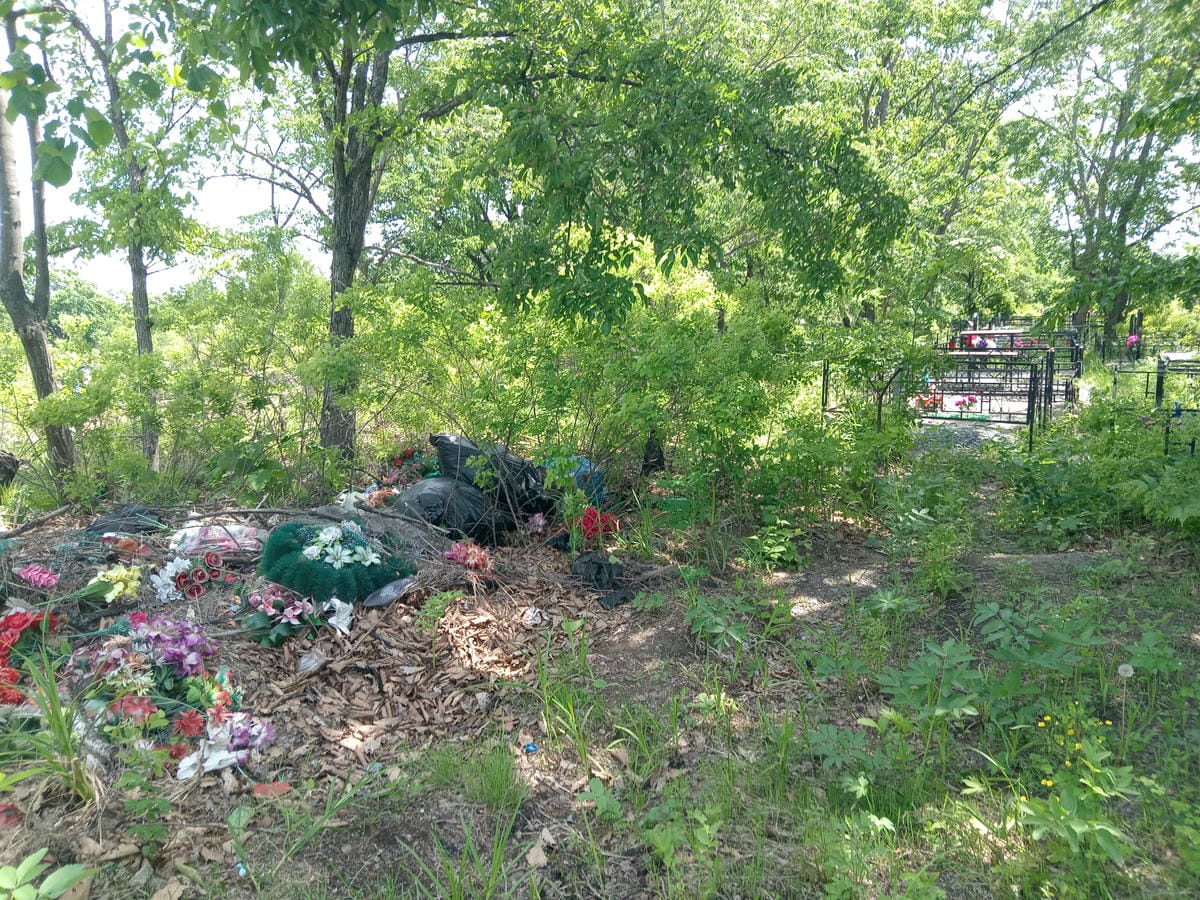 51e95650-64d6-4d2a-81ba-a5045f68188d Неизвестно Неизвестно Неизвестно