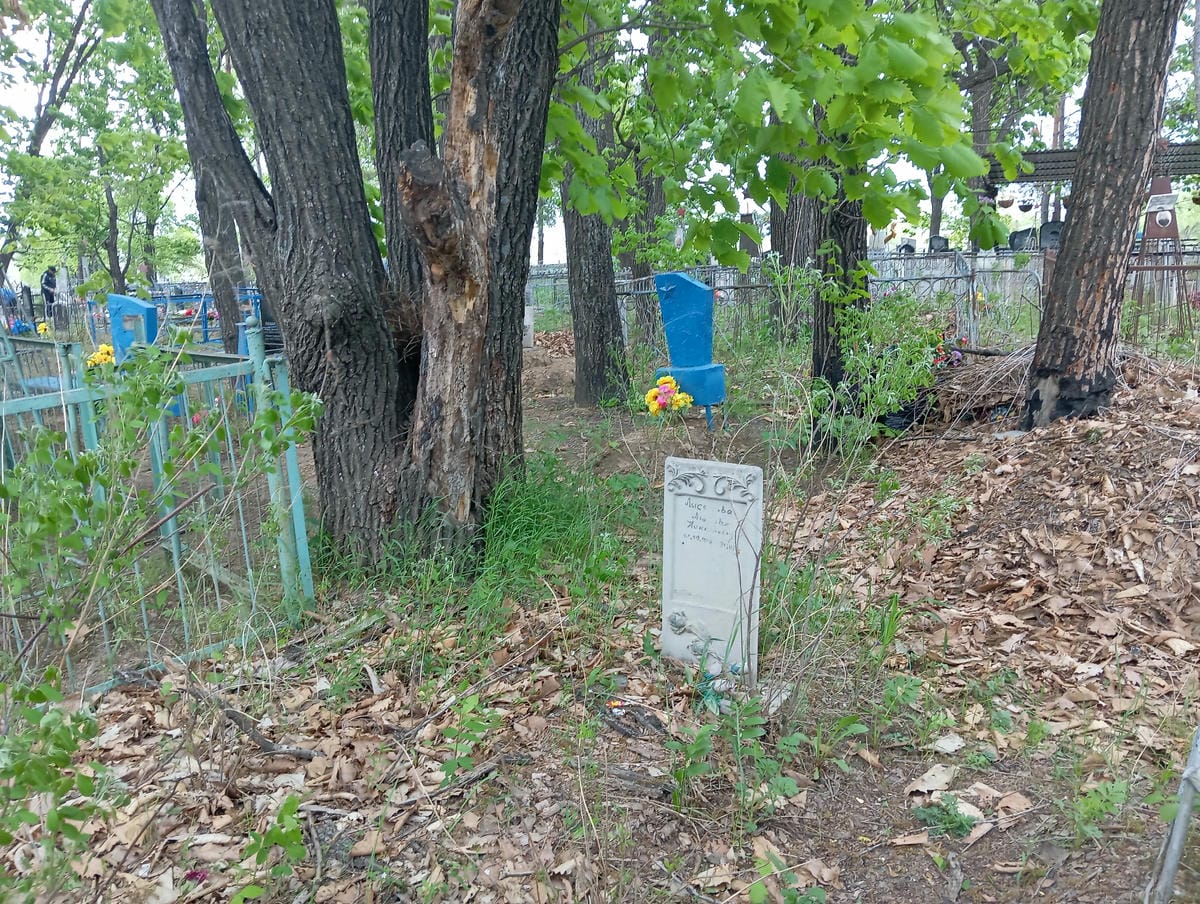 51f8b00f-e25e-48b9-ad31-ccc8e3b6ed90 Лысякова Любовь Николаевна