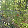 Воронько С Н