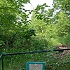 Ковальский Алексей Николаевич