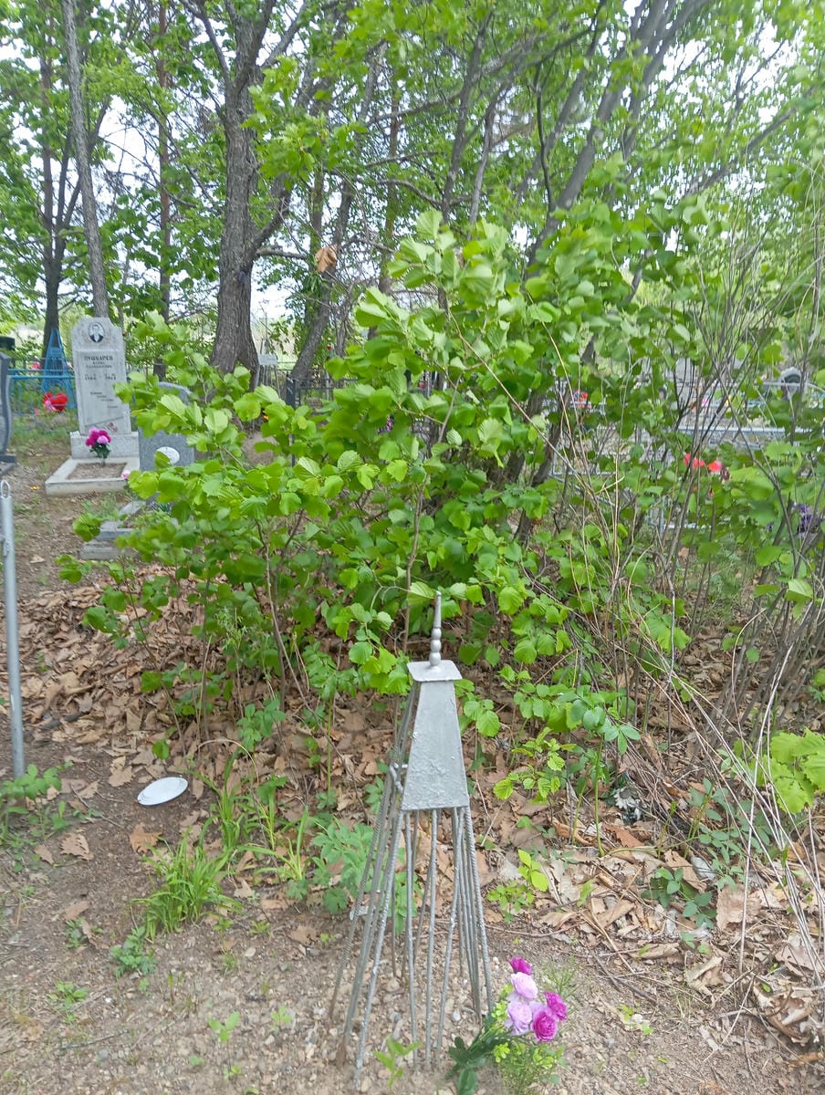 Неизвестно Неизвестно Неизвестно