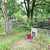 Струева Ольга Сергеевна